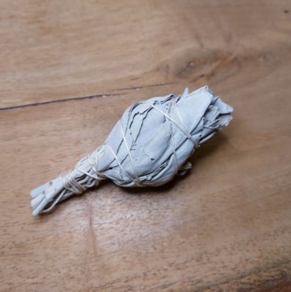 Weißer Salbei - ca. 15g